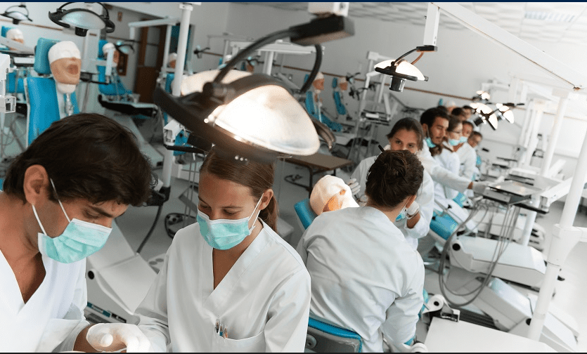 Hệ thống chăm sóc sức khỏe của Bồ Đào Nha 2023: Hướng dẫn chi tiết (Phần 1)